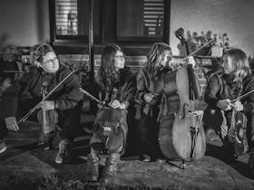 The  Stringybark Quartet | Ceduna Cover Image