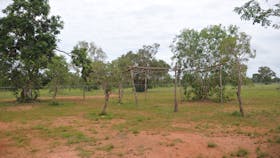 Framing of a shelter made from bush timbers.