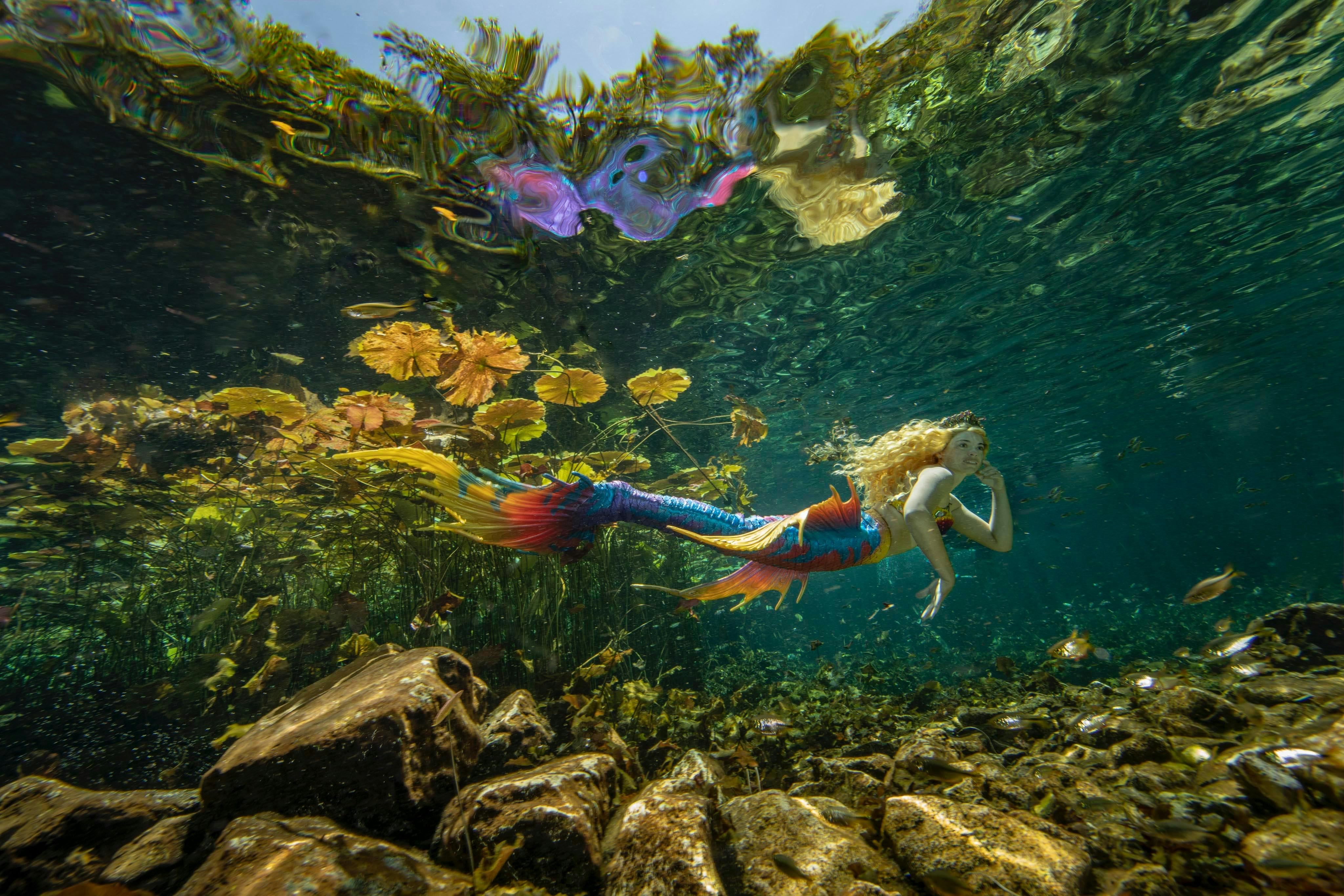 Shellharbour Scuba  and Photography Centre