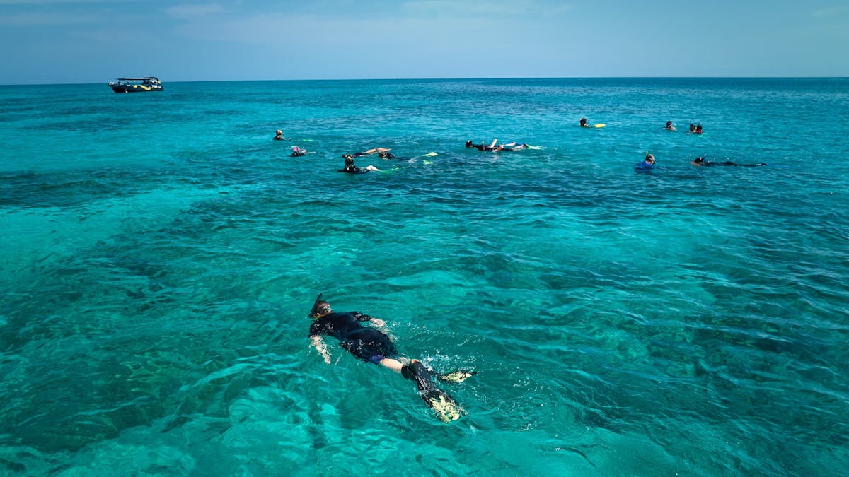 A wide pan view of snorkelers swimming on the Great Barrier Reef