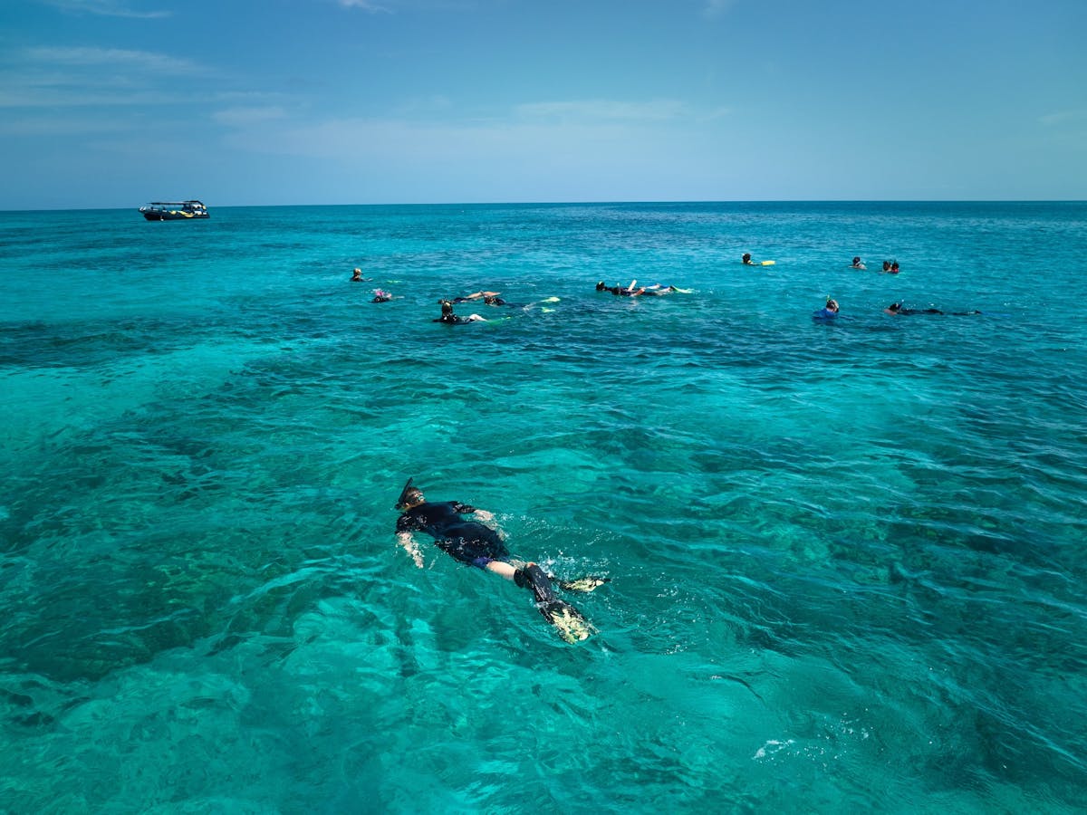 A wide pan view of snorkelers swimming on the Great Barrier Reef
