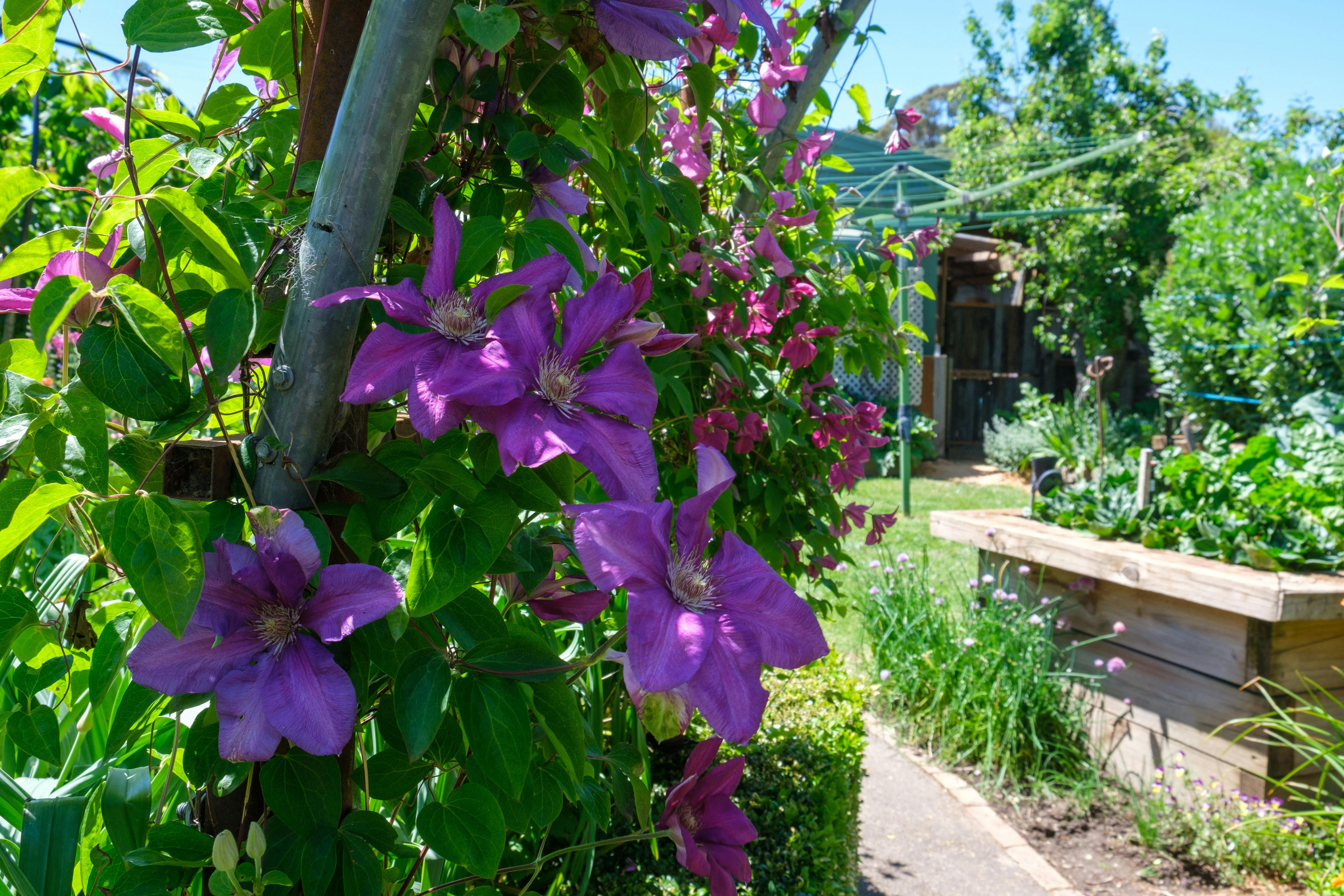 Creswick Garden