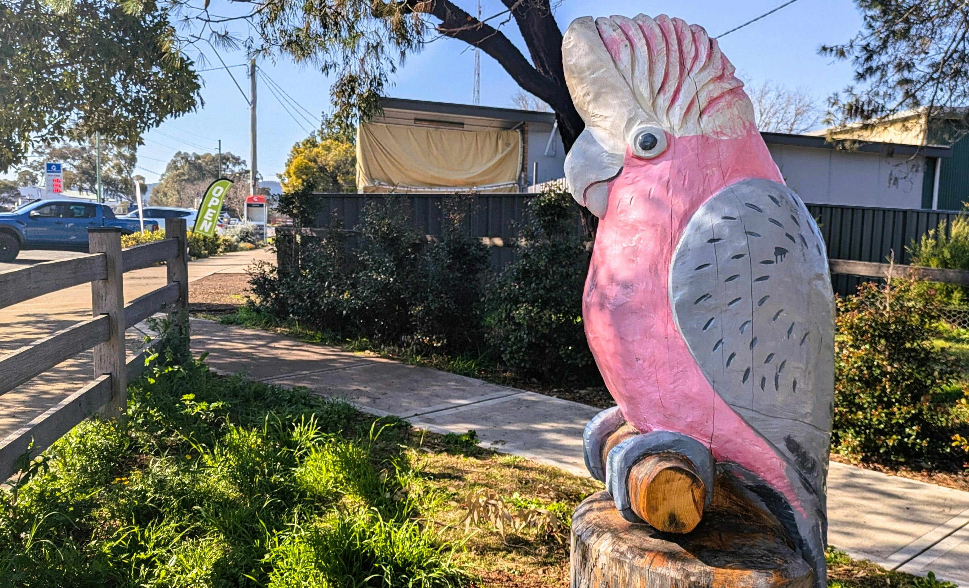 The Galah at Pocket Park