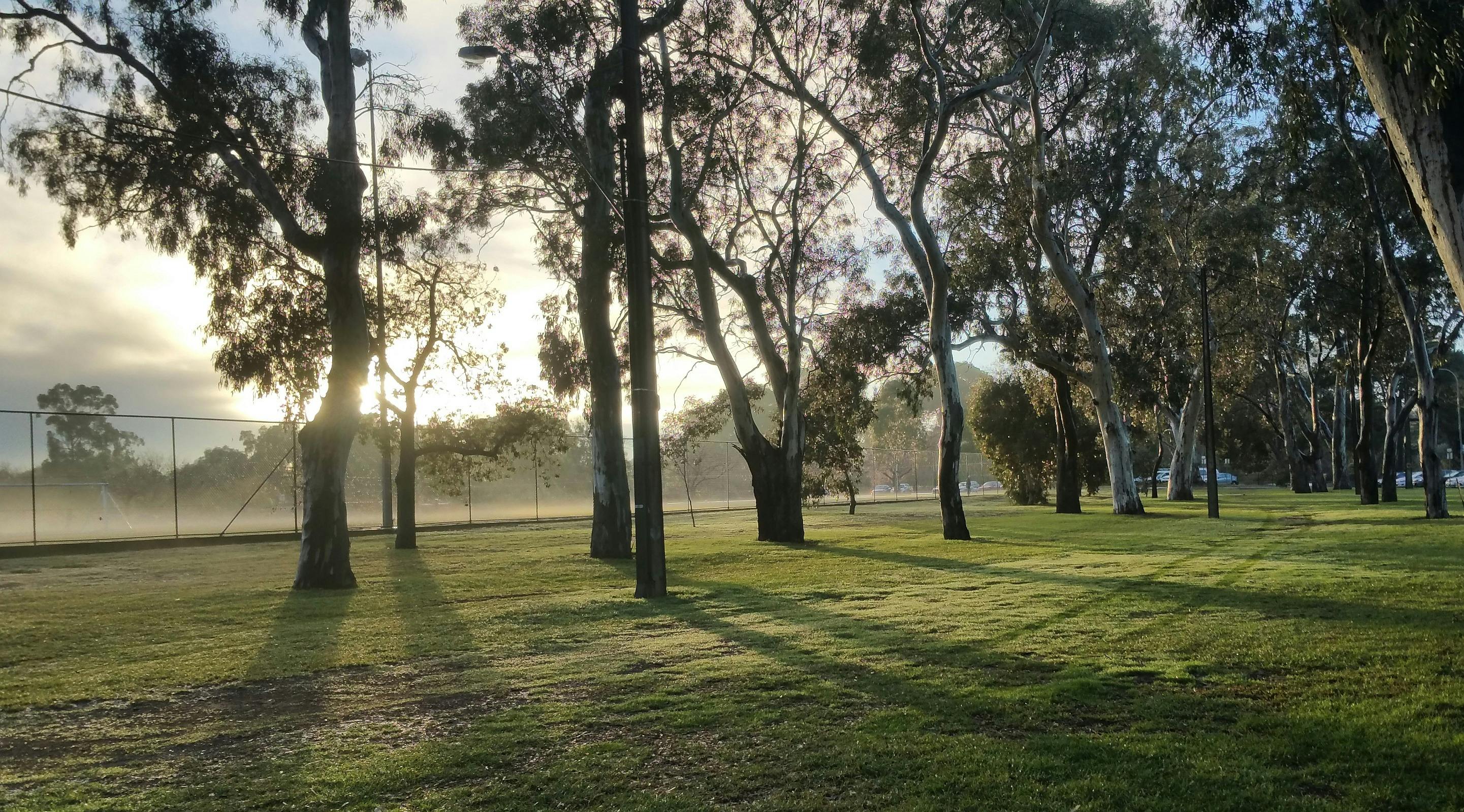 Red Gum Park / Karrawirra (Park 12)