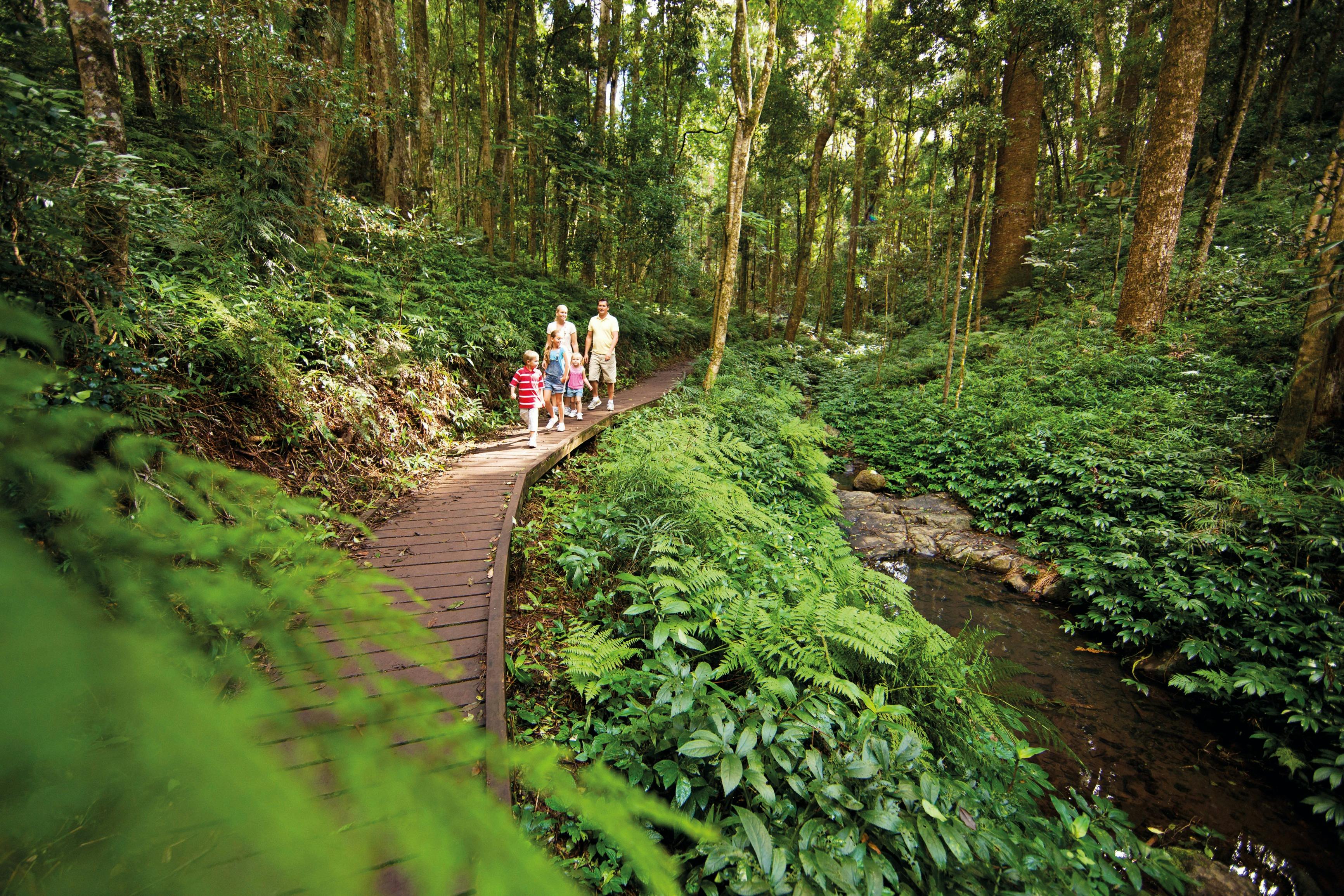 Bunya Mountains