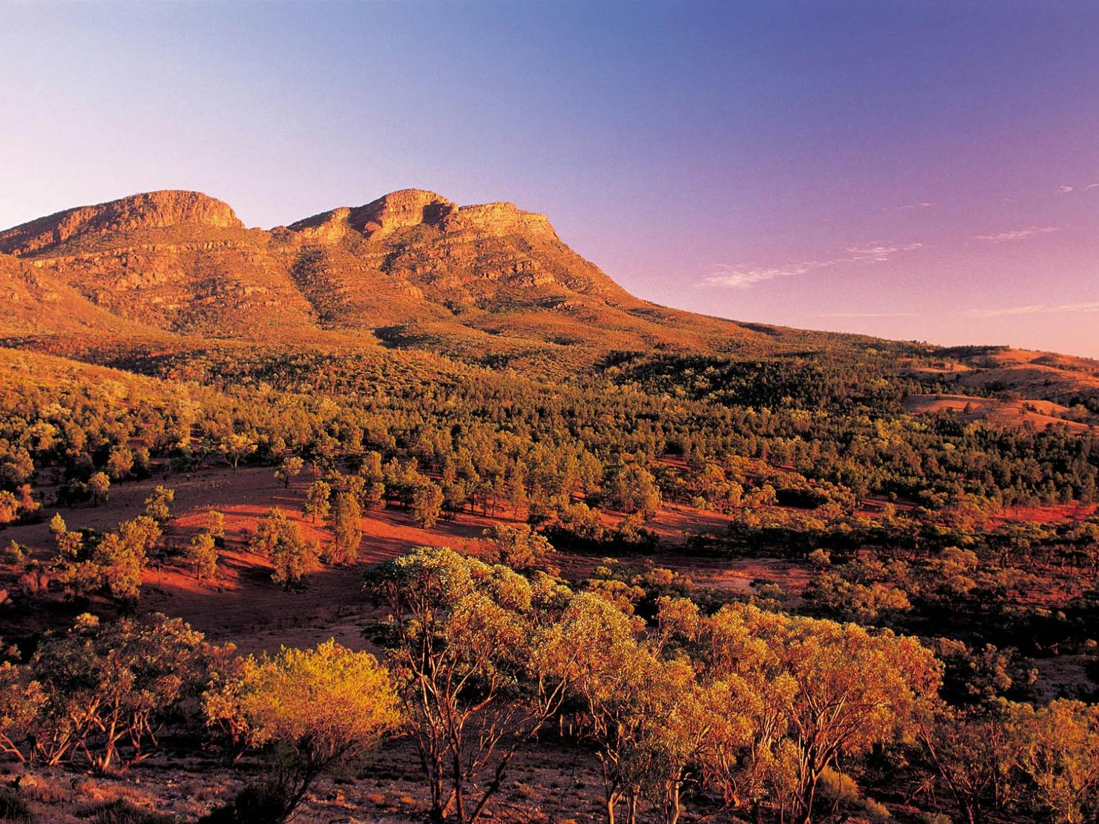 Heysen and Flinders Ranges in Comfort