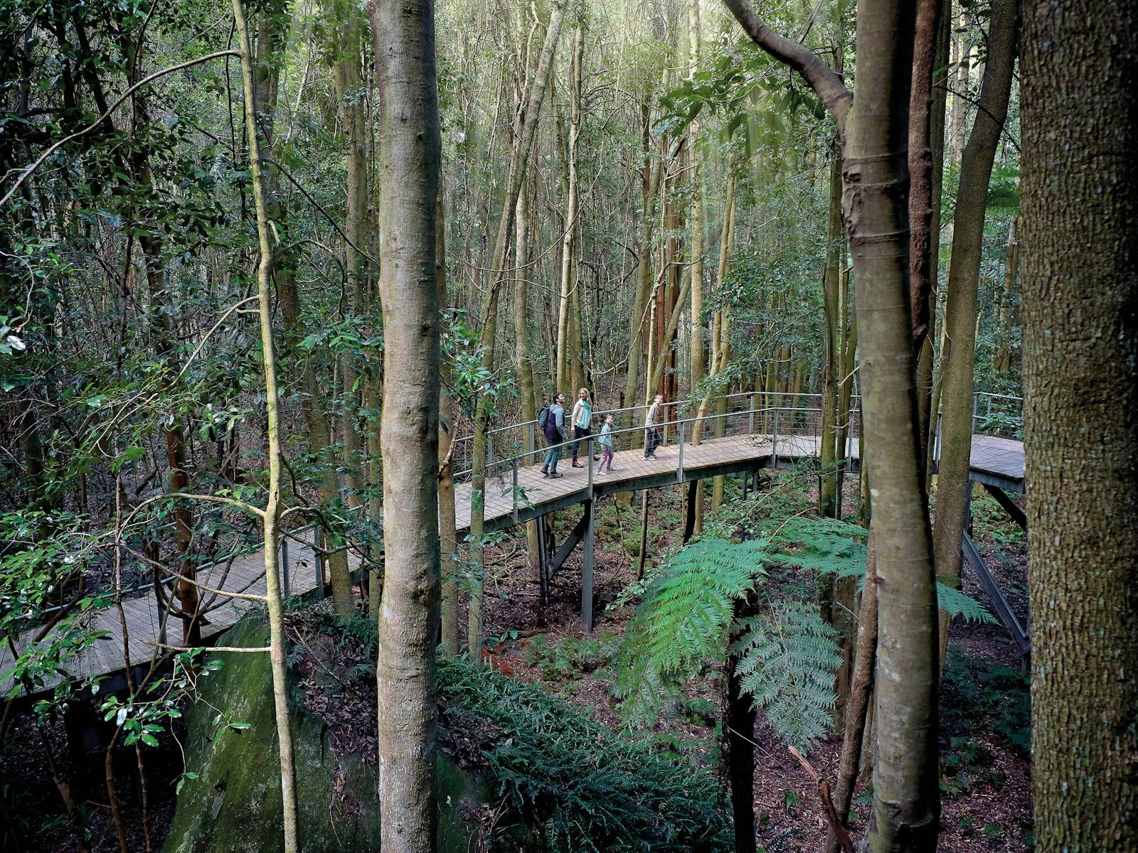 Blue Mountains Tours