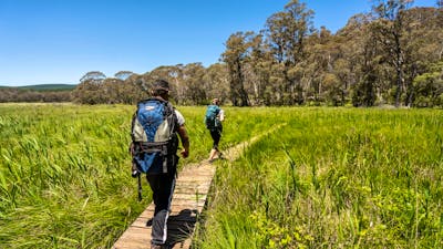 Hume & Hovell Track