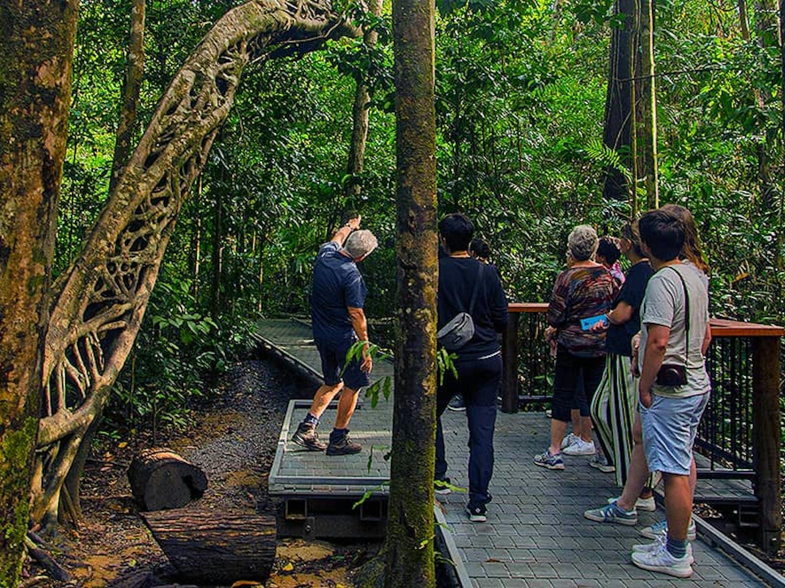 Cape Tribulation, Daintree & Mossman Gorge - Premium Rainforest Tour