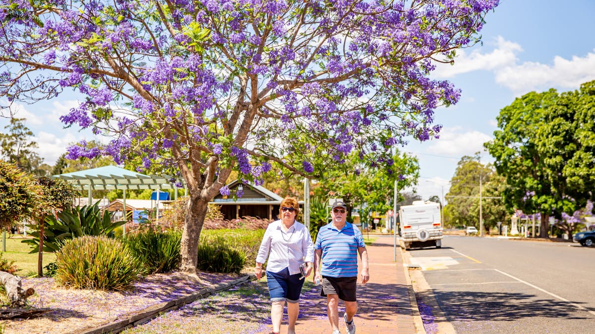 Main Street Blackbutt