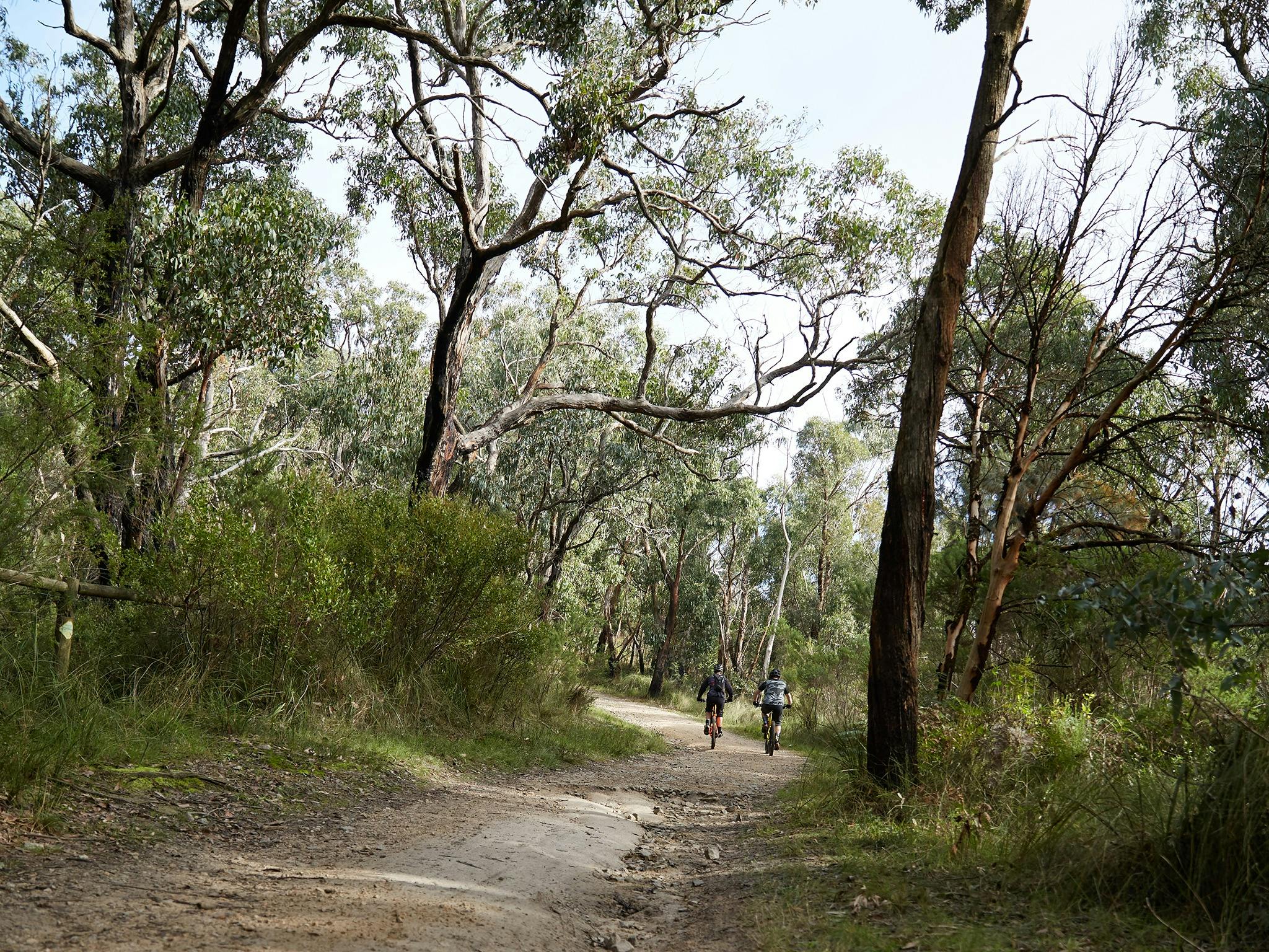 Arthurs Seat State Park