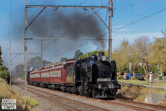 Steamrail Victoria - Bayside Steam Shuttles