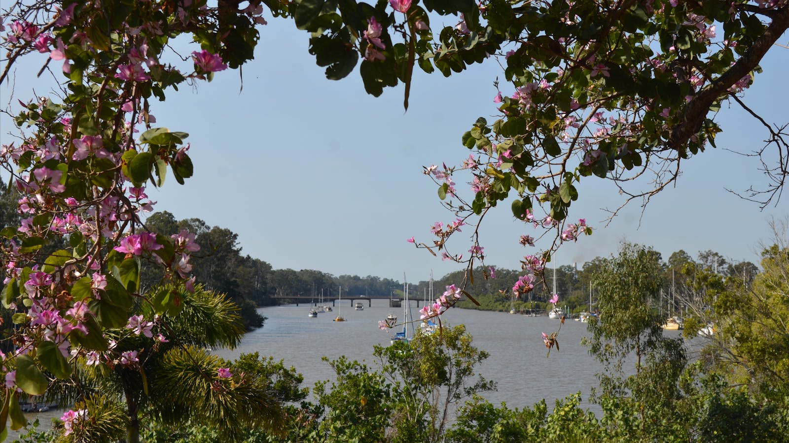 Mary River