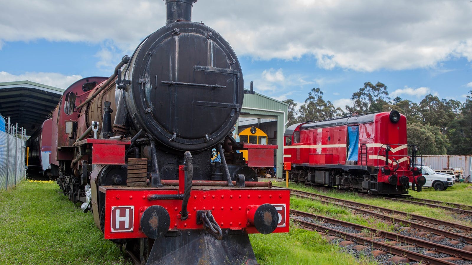 H2 Steam Locomotive