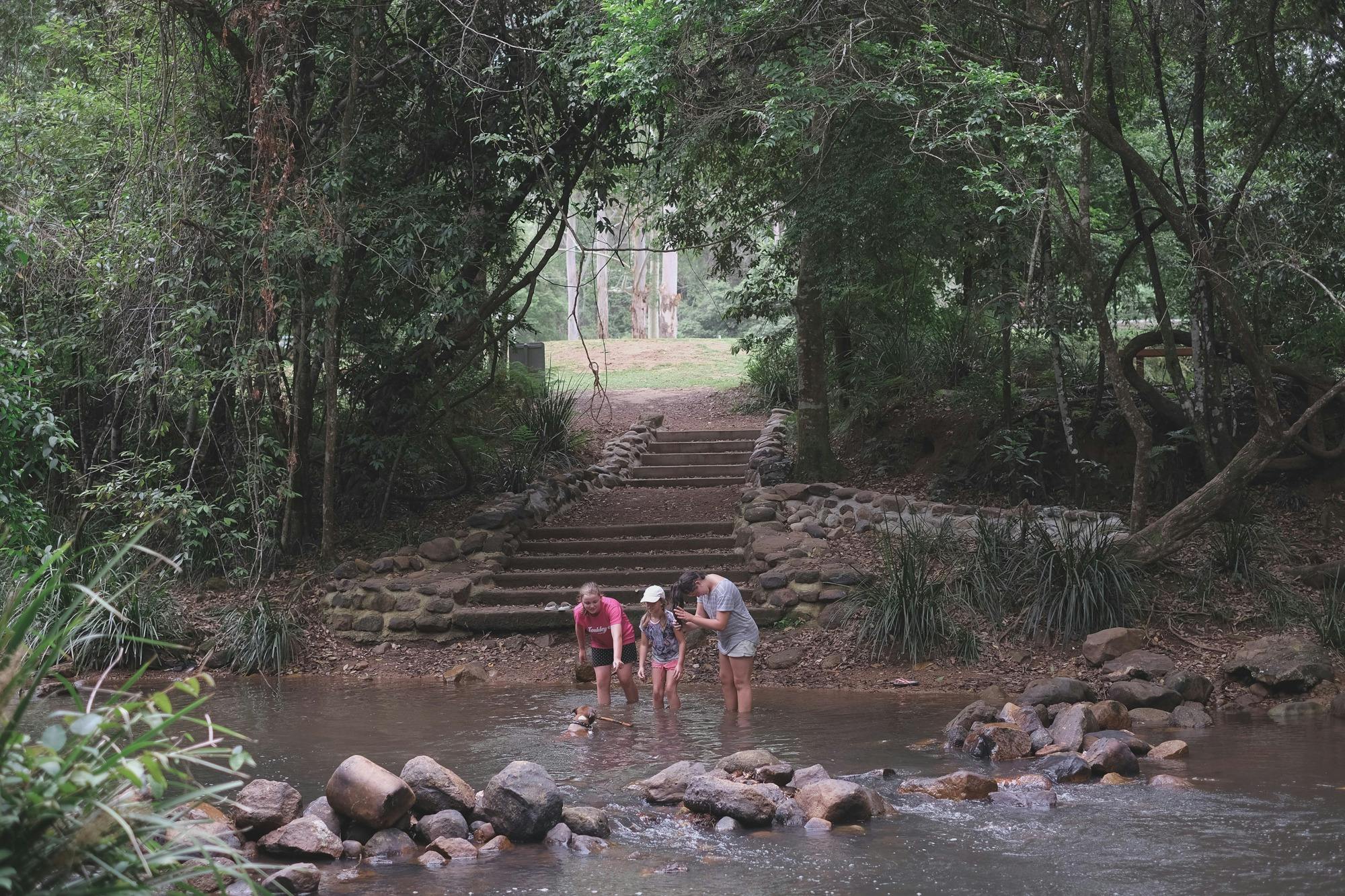 Steps from Swans Crossing campground to Upsalls Creek