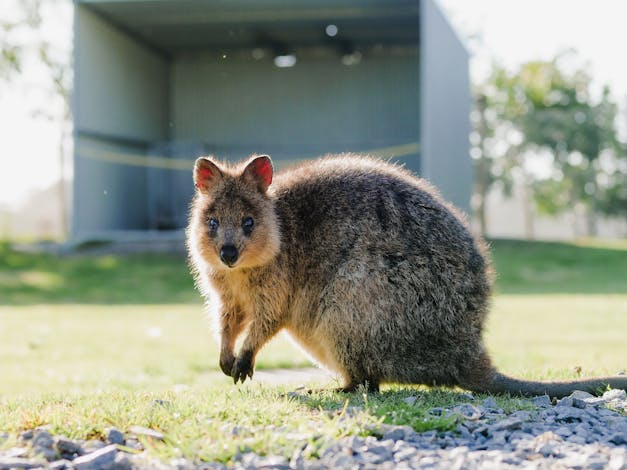 Oakvale Wildlife Park
