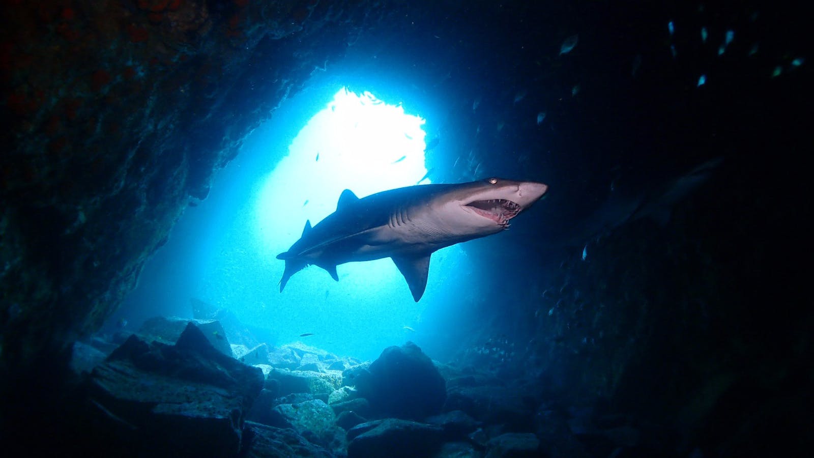 South West Rocks Dive Centre