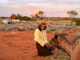 Camel Treks Australia  Outback Safaris