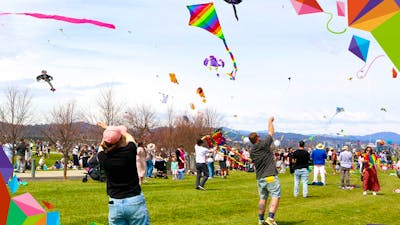 Crowds of families fly colourful kites on a large grassy lawn at the arboretum