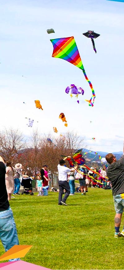 Crowds of families fly colourful kites on a large grassy lawn at the arboretum