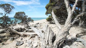 Coffin Bay National Park