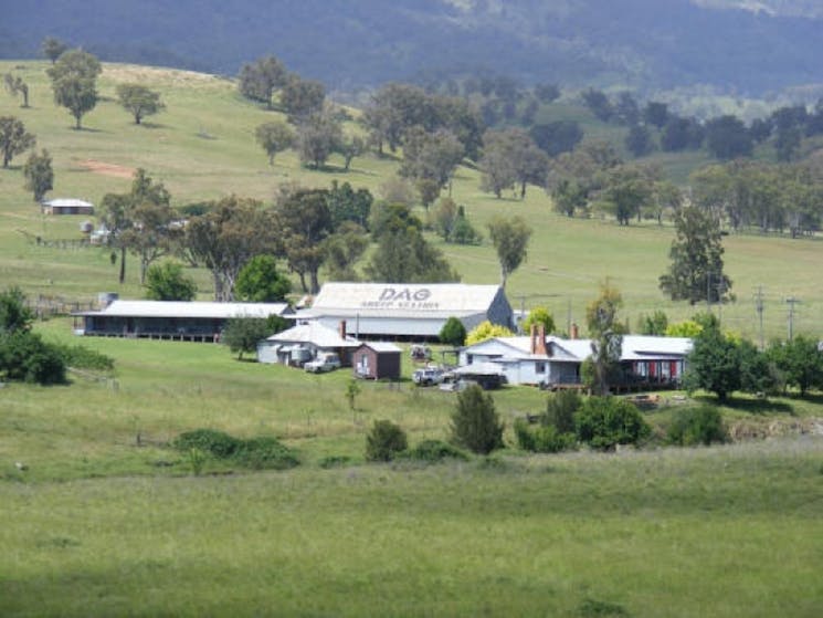 DAG sheep station landscape views