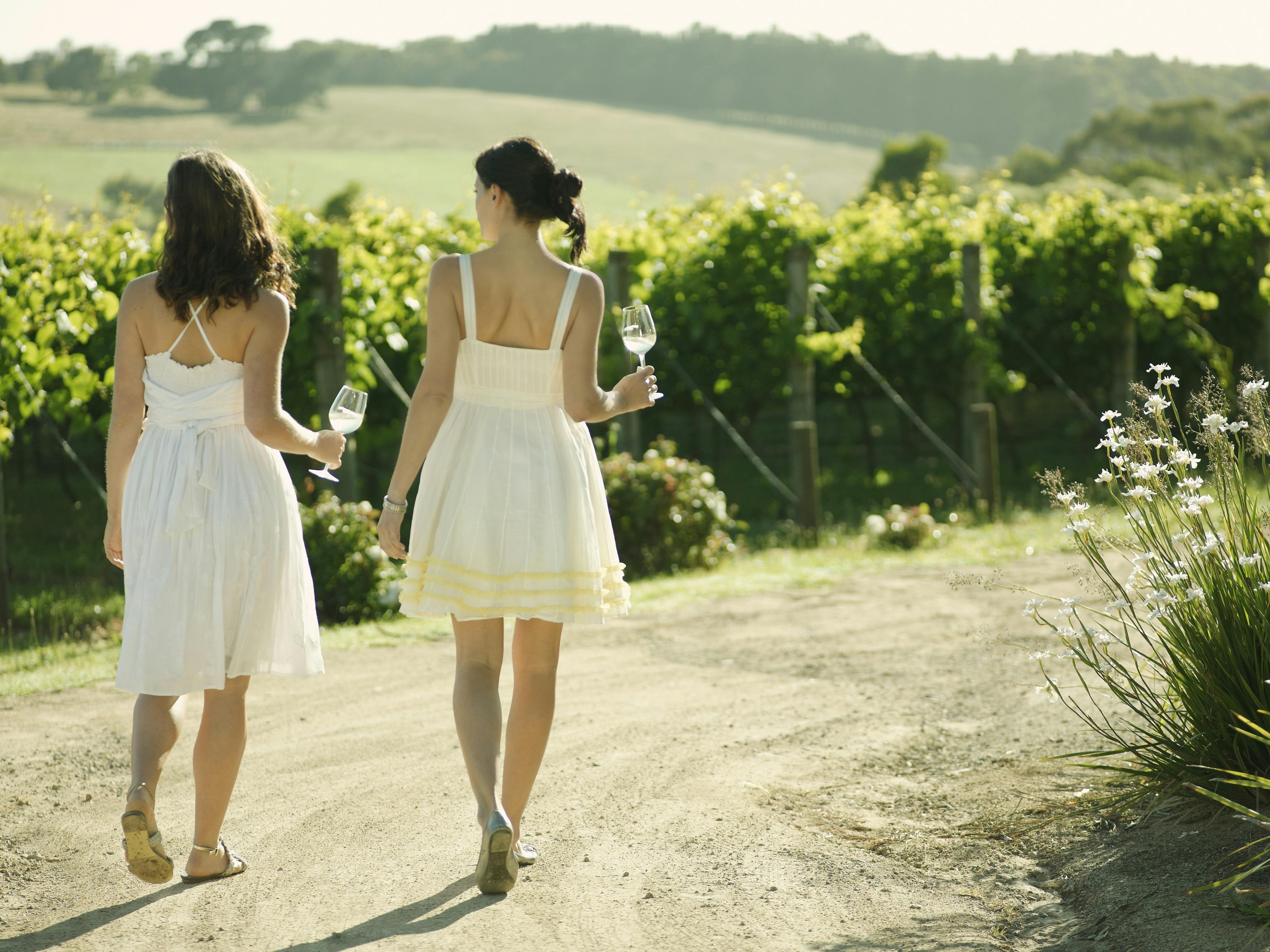 Yarra Valley Chandon Cheese and Sunset Kangaroos Tour