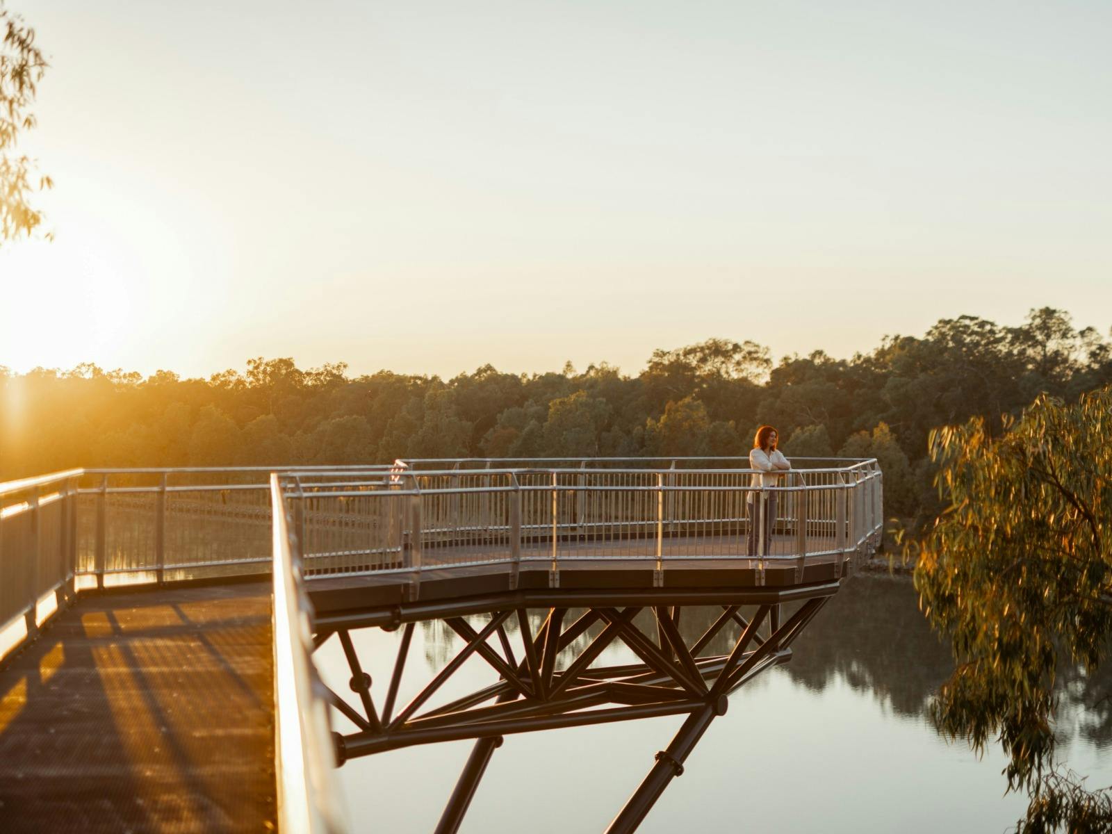 Lake Talbot Skywalk