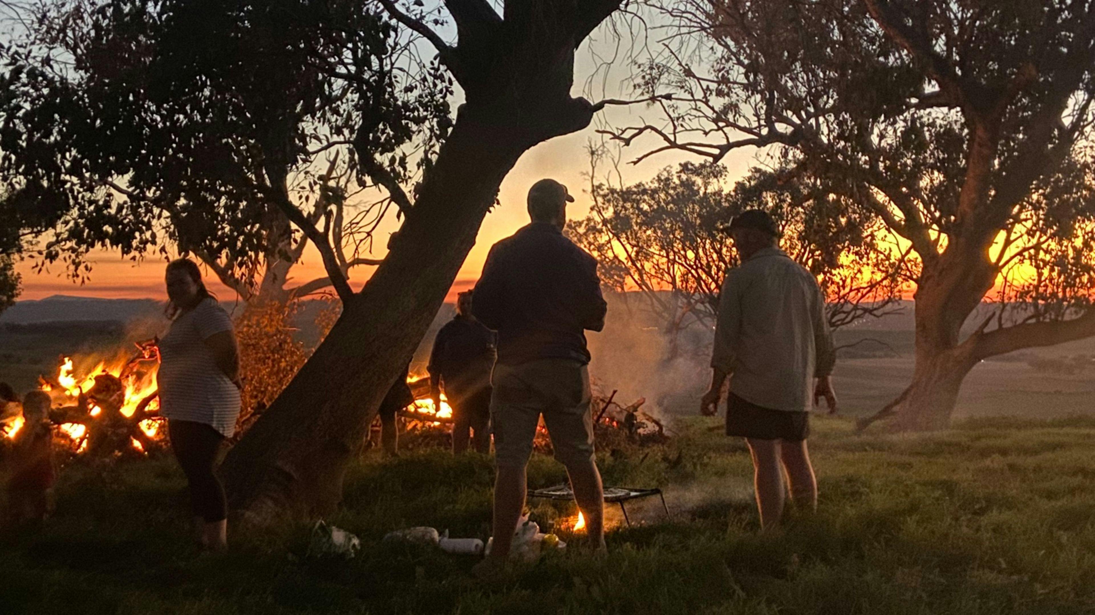 デイジーベール