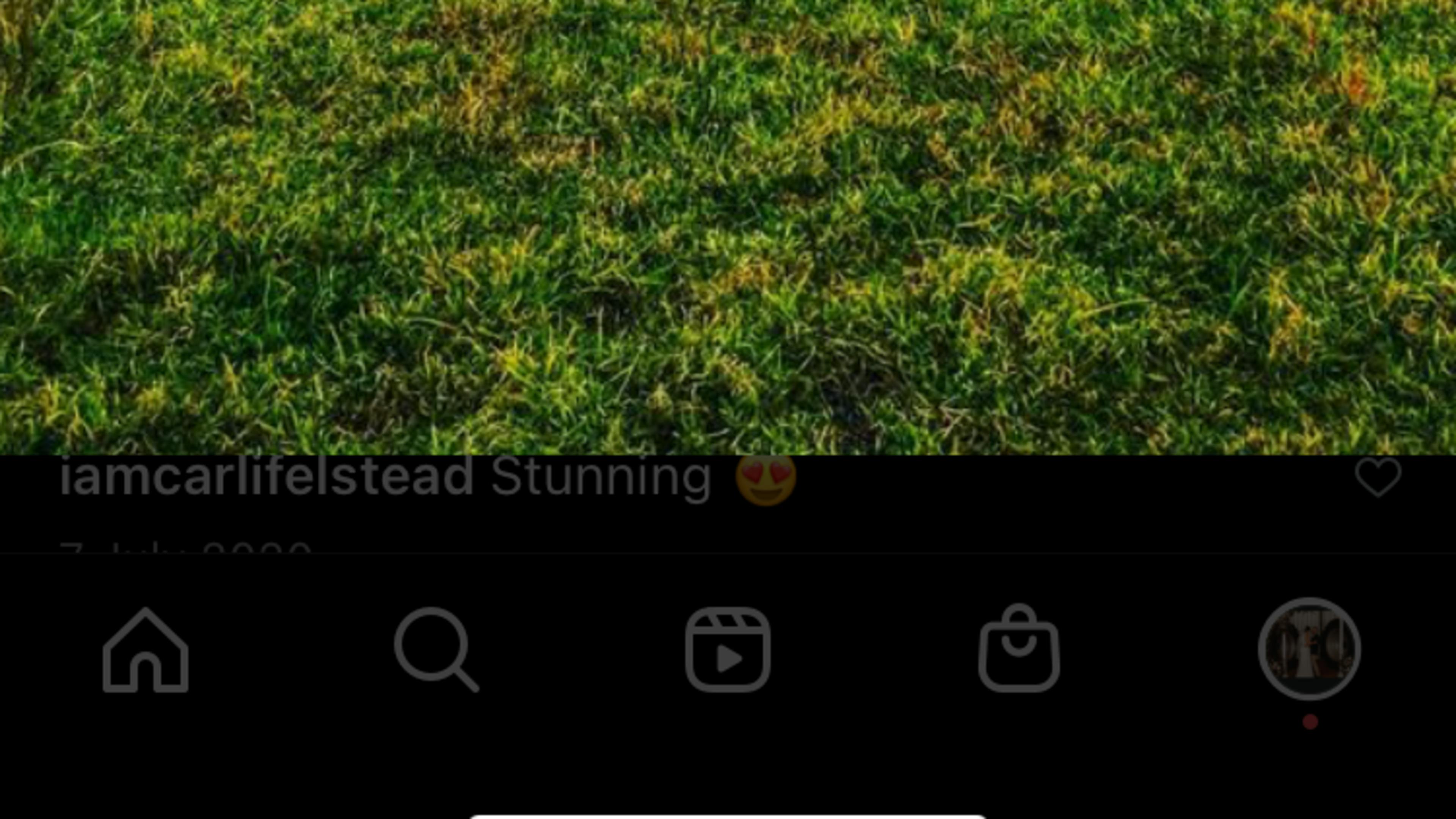 デイジーベール