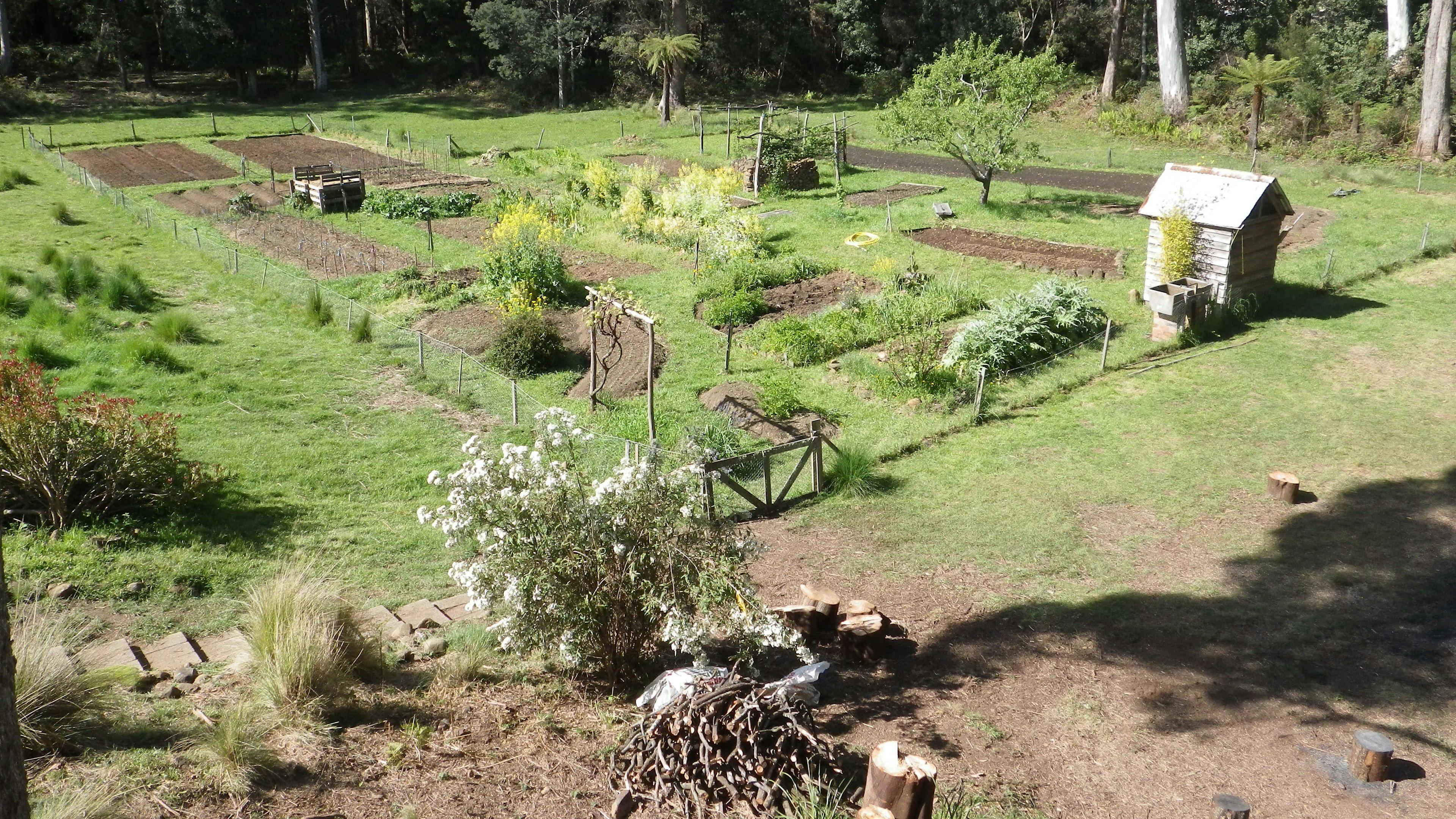 Vegetable garden
