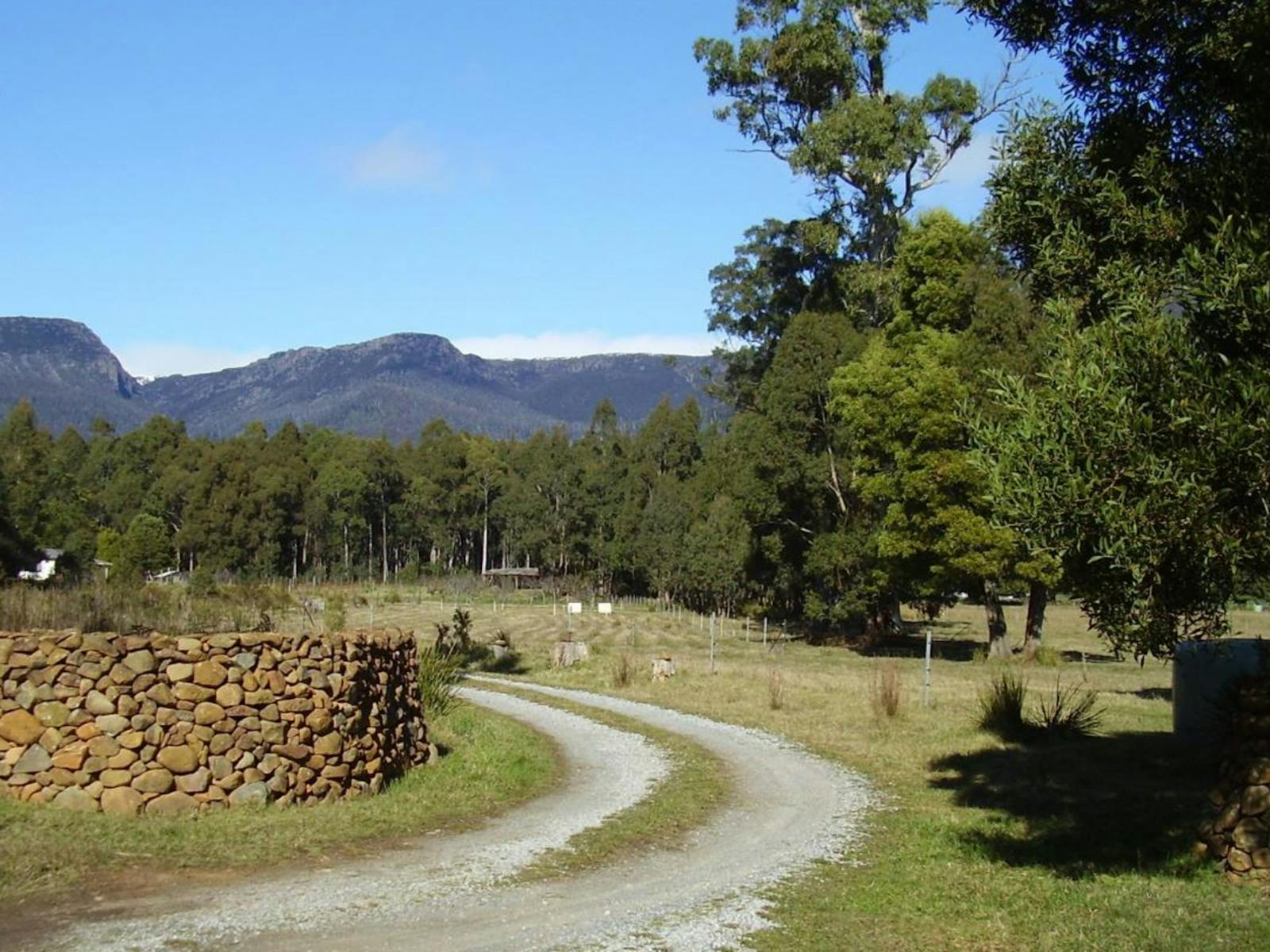 Dale Brook Organics