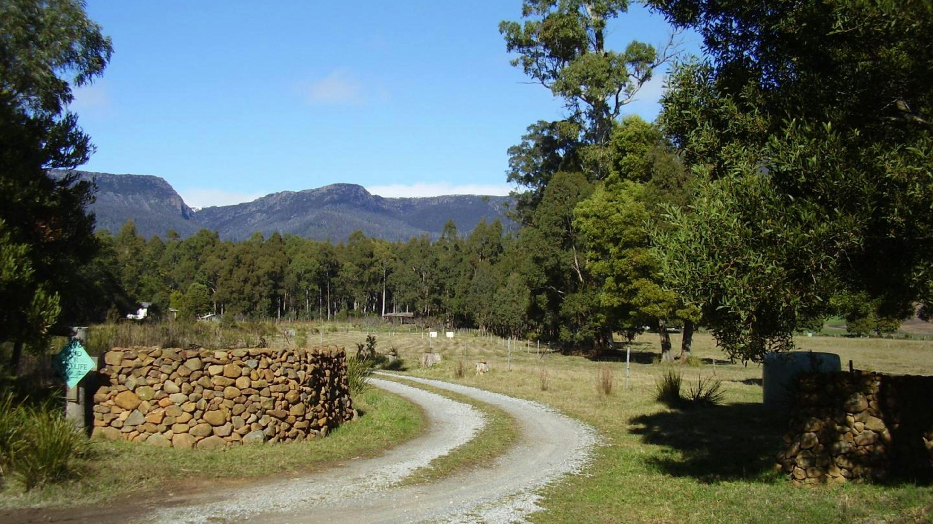 Dale Brook Organics