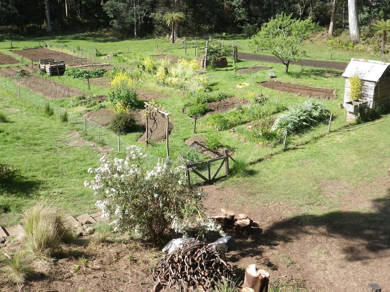 Vegetable garden
