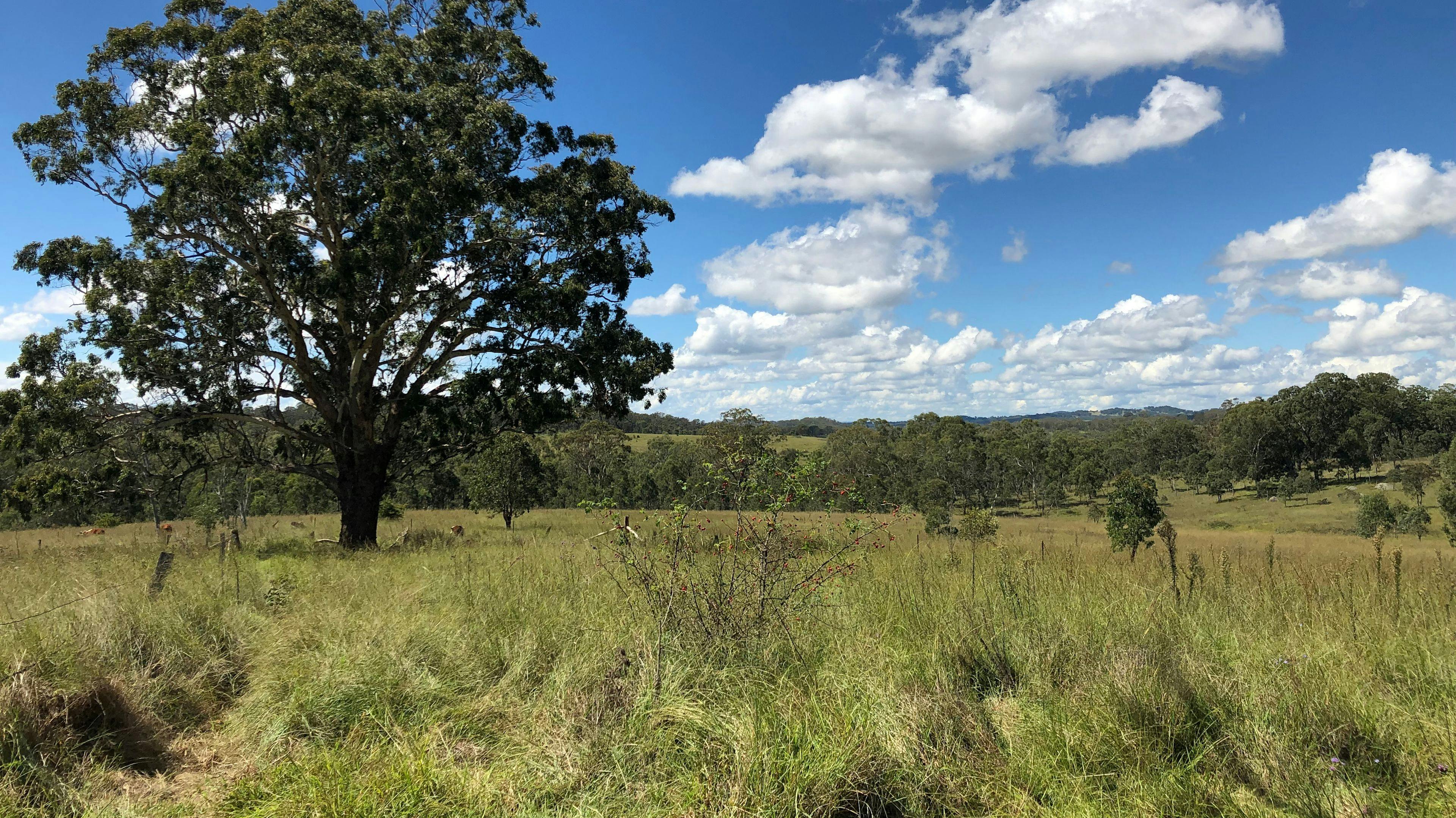 View from camping area 