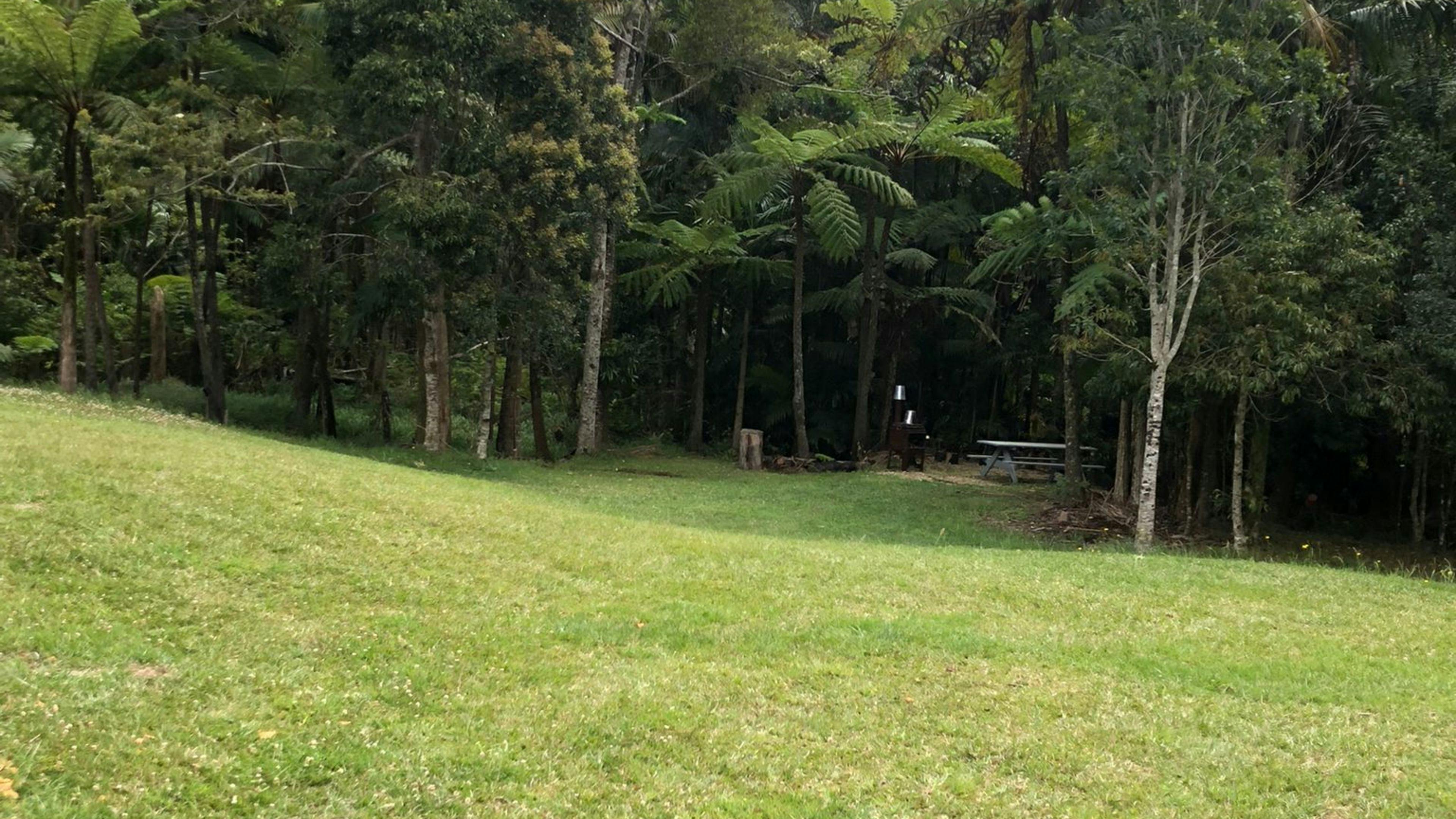 Dalrymple Heights Rainforest Stay