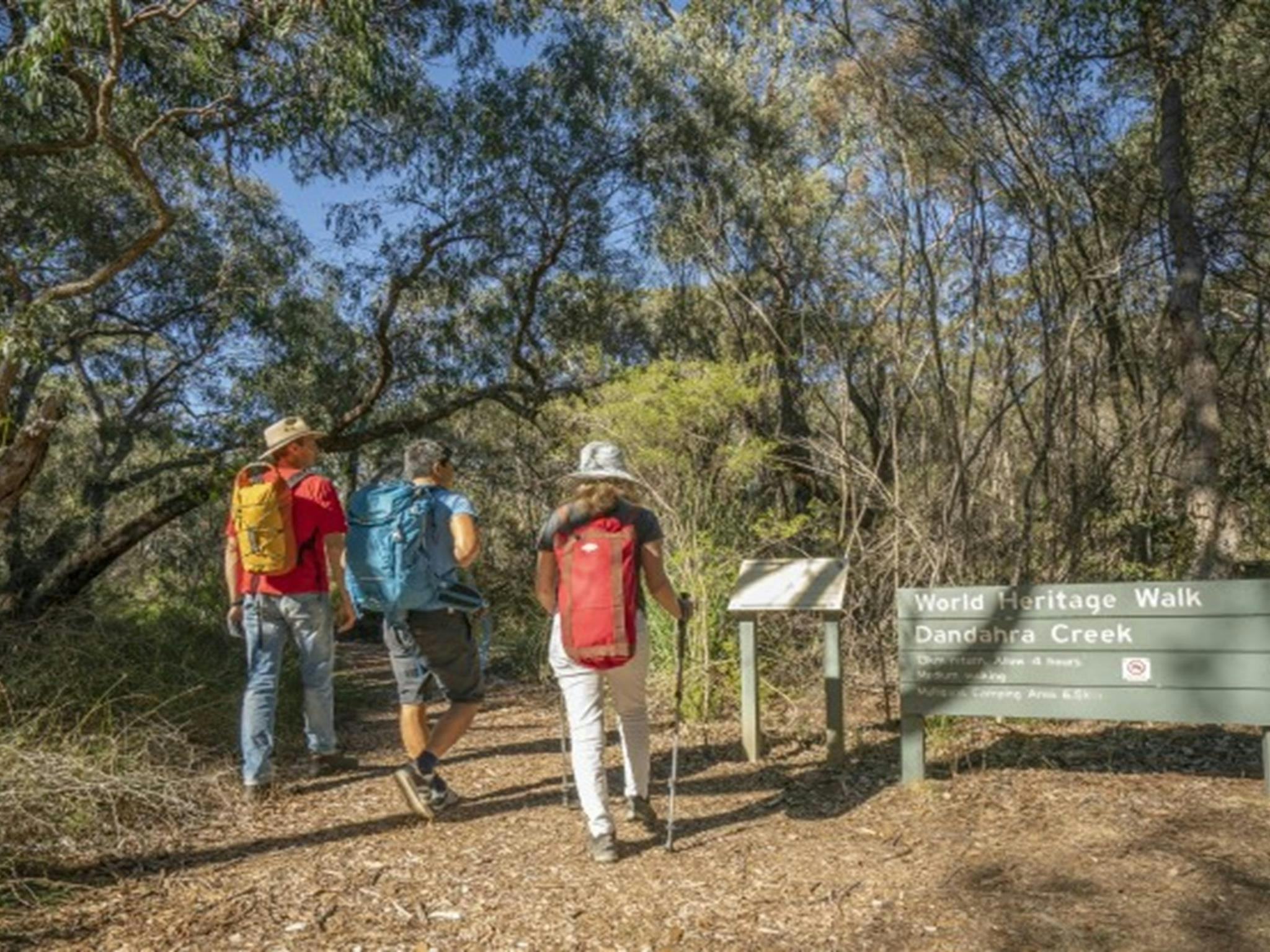 A family heading off to explore Little Dandahra Creek walking track in Gibraltar Range National Park