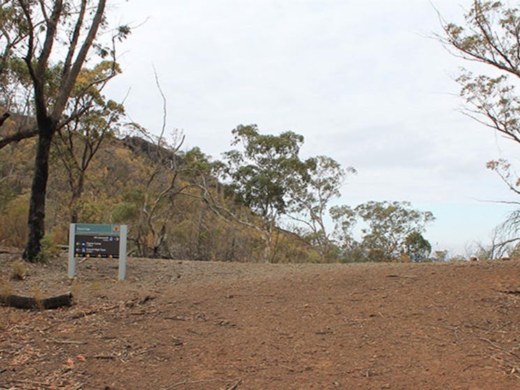 View of park signage and a wide walking path at Danu camp, set in rugged hilly landscape of trees