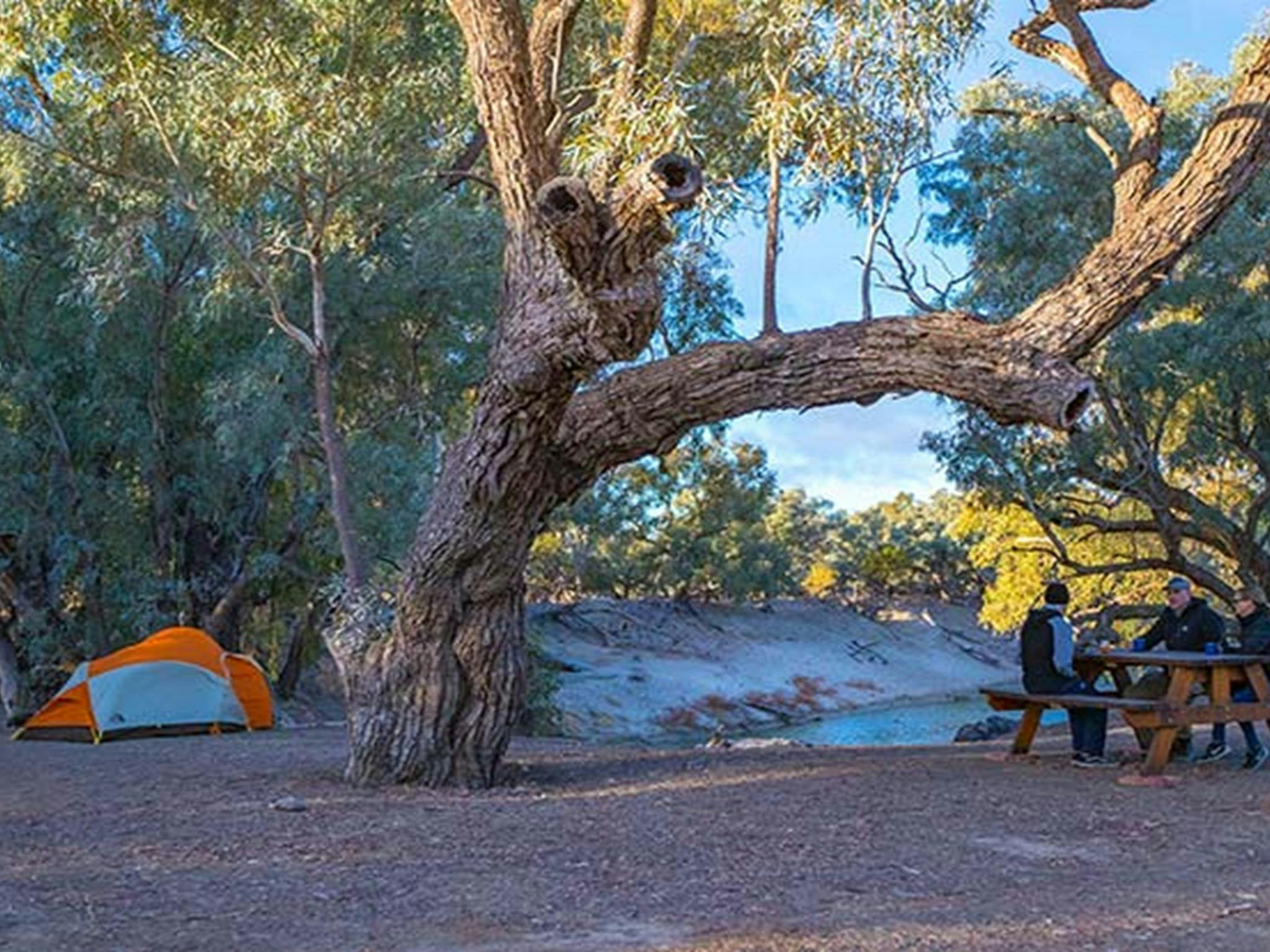 Ein Familienpicknick neben ihrem Zelt auf dem Campingplatz Darling River im Toorale-Nationalpark. Foto: Joshua