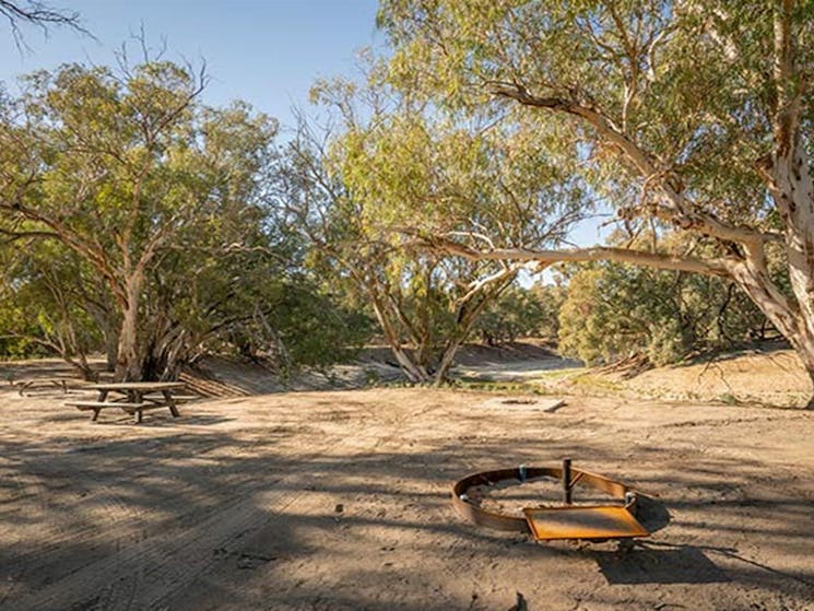 Picnic table and fire ring at campsite 34 in Darling RIver campground. Photo: John Spencer/DPIE