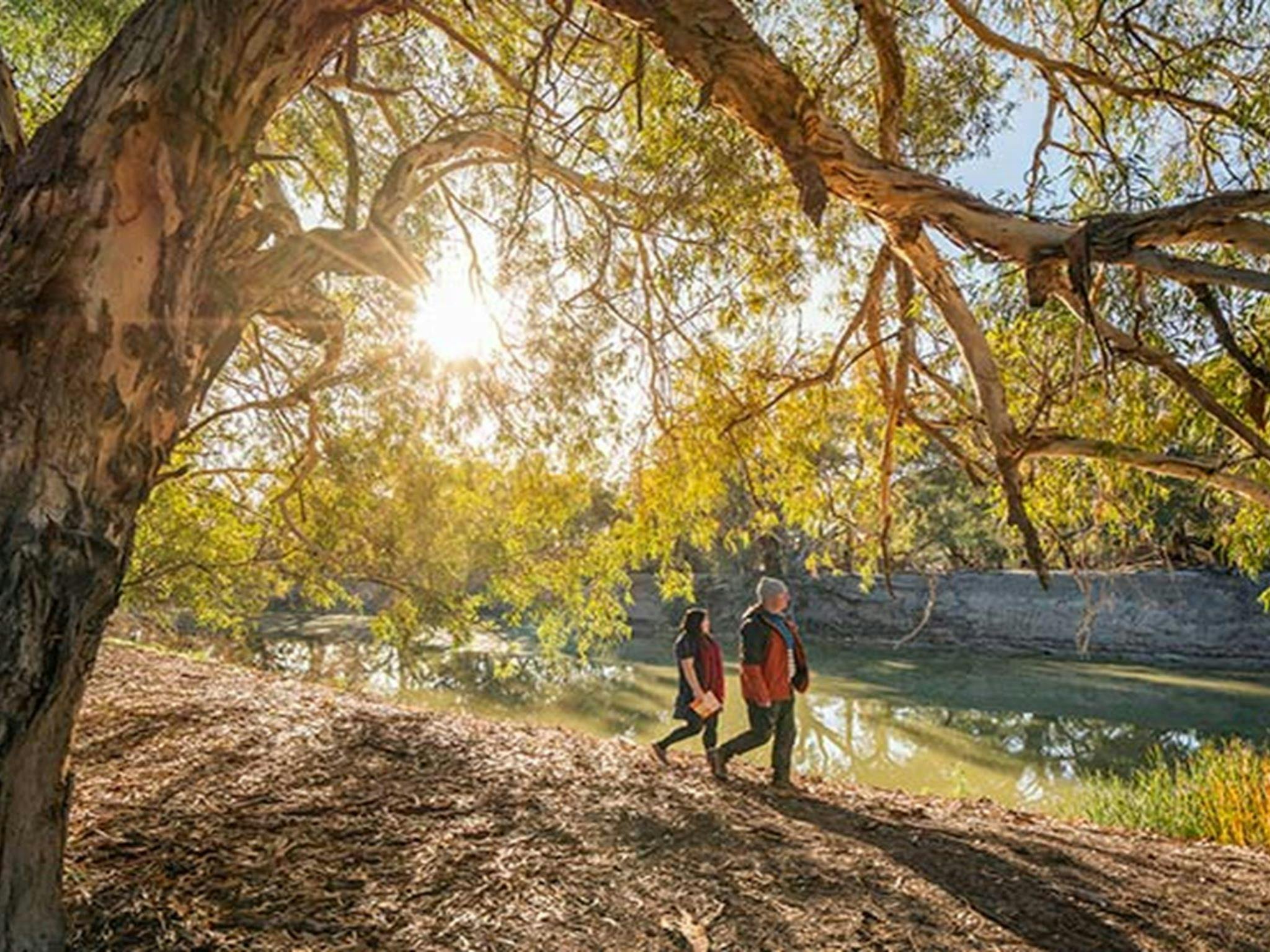 Couple walking along the river bank at sunrise, Darling River campground. Photo: John Spencer/DPIE