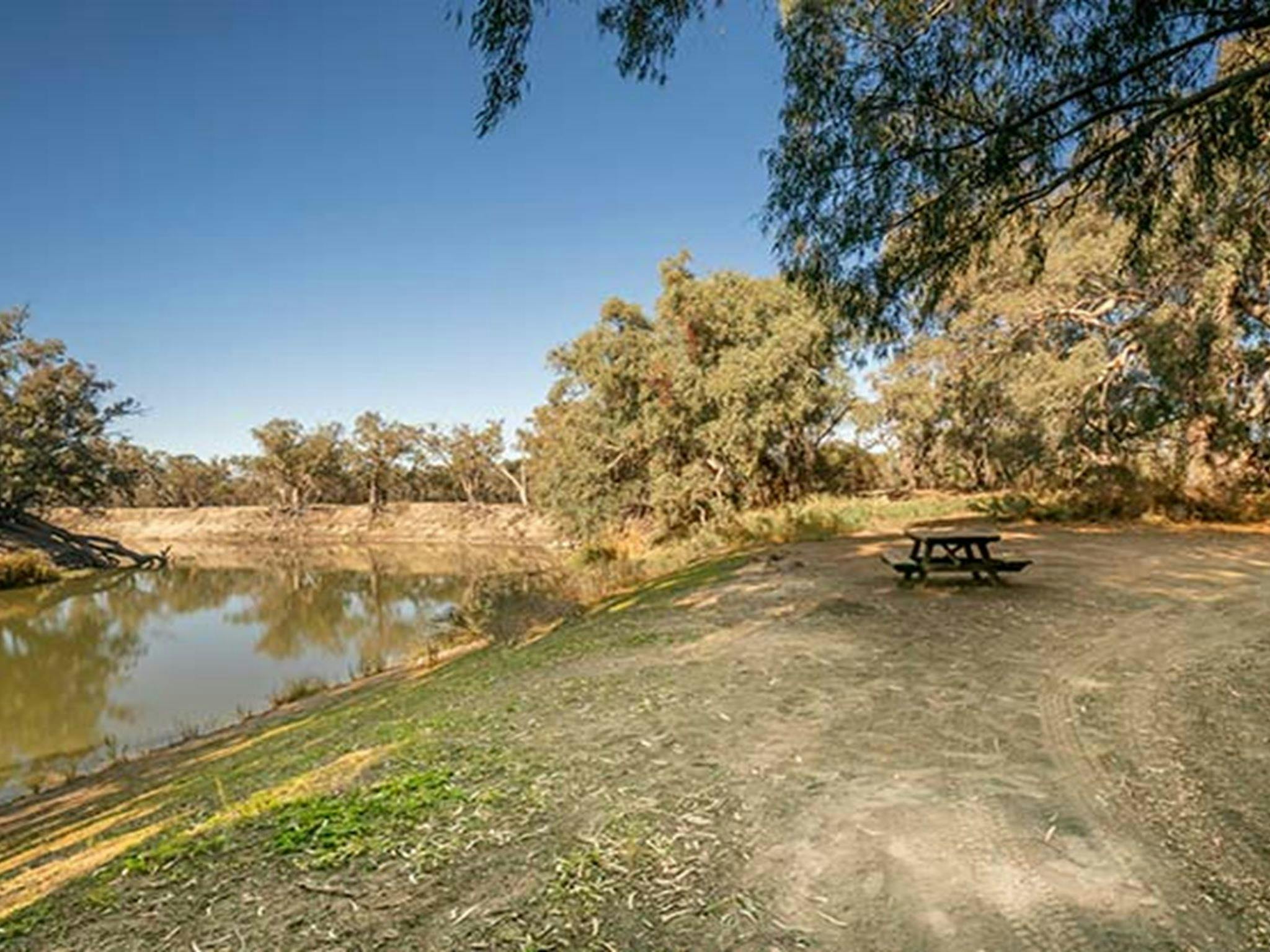 Campsite 6 at Darling River campground. Photo: John Spencer/DPIE