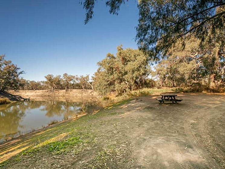 Campsite 6 at Darling River campground. Photo: John Spencer/DPIE