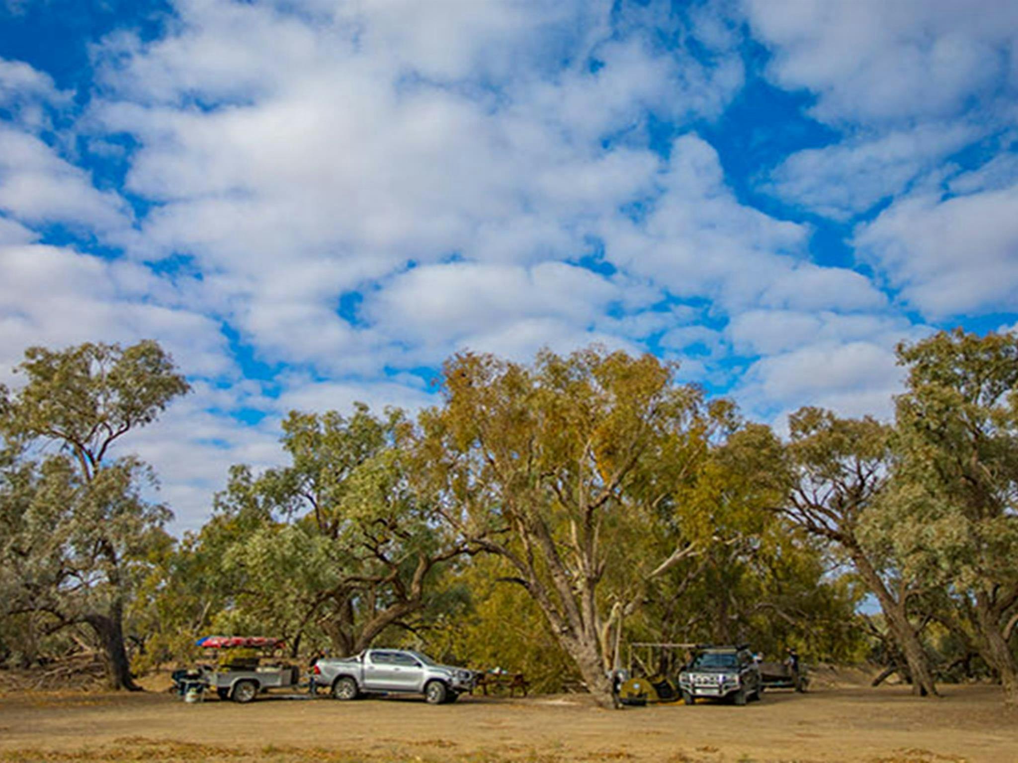 Autos parken unter Bäumen auf dem Campingplatz Darling River im Toorale-Nationalpark. Foto: Joshua Smith/OEH.