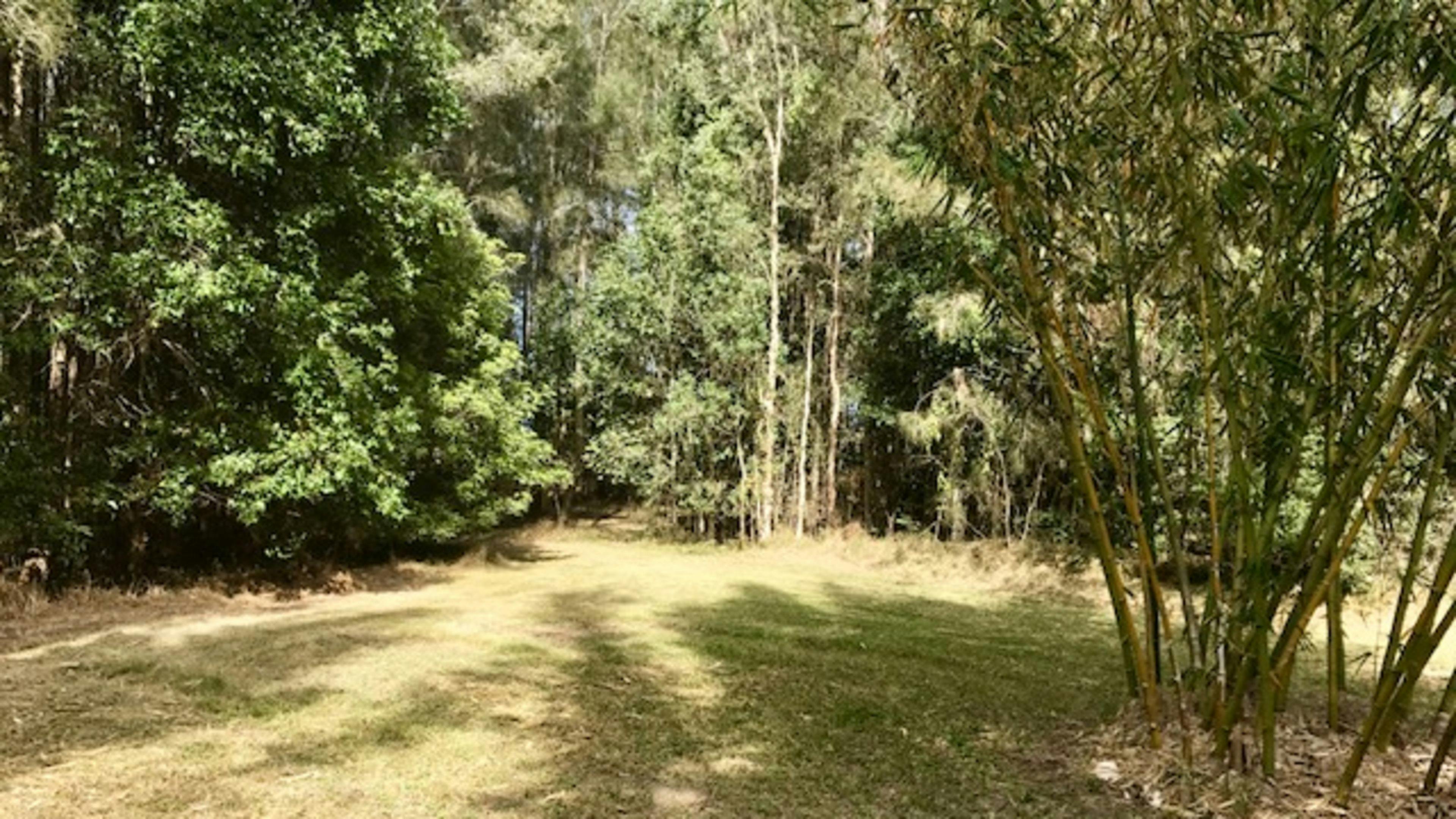 Davrae Park フリーキャンプ場（トイレ・シャワーなし）