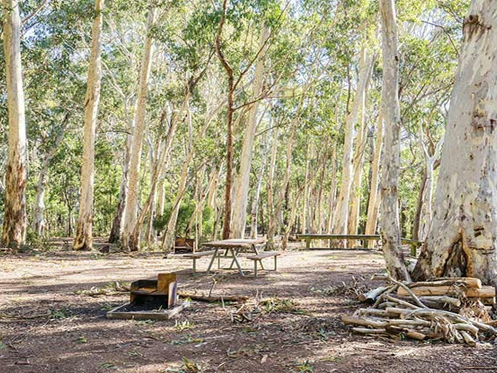 Dawsons Spring campground