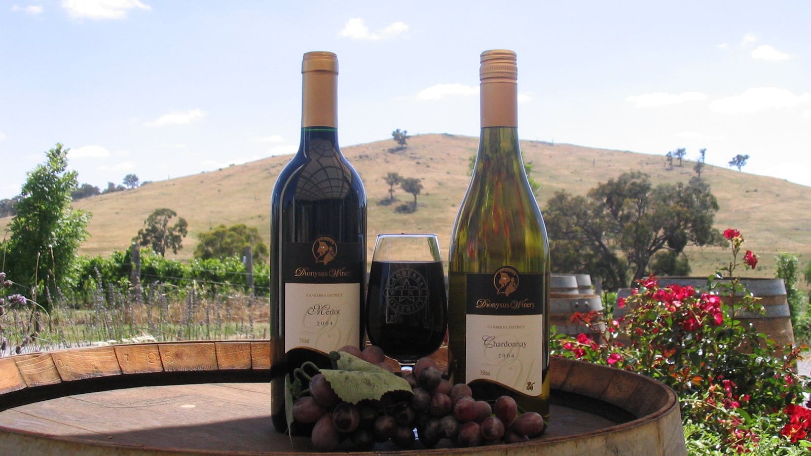 Dionysus Winery & Woo Chocolates