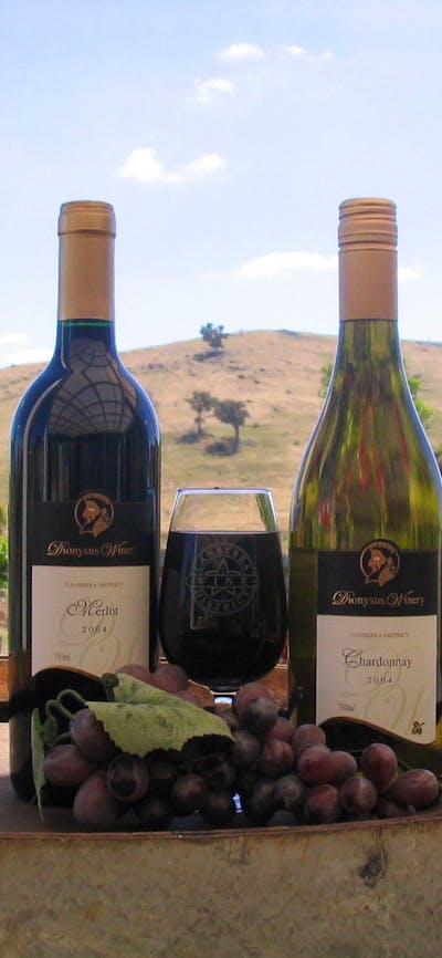 Great wine, great view