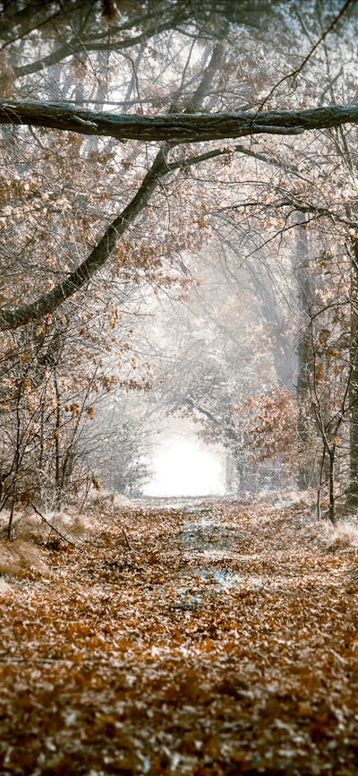 Fine Art Print by Jerusha McDowell