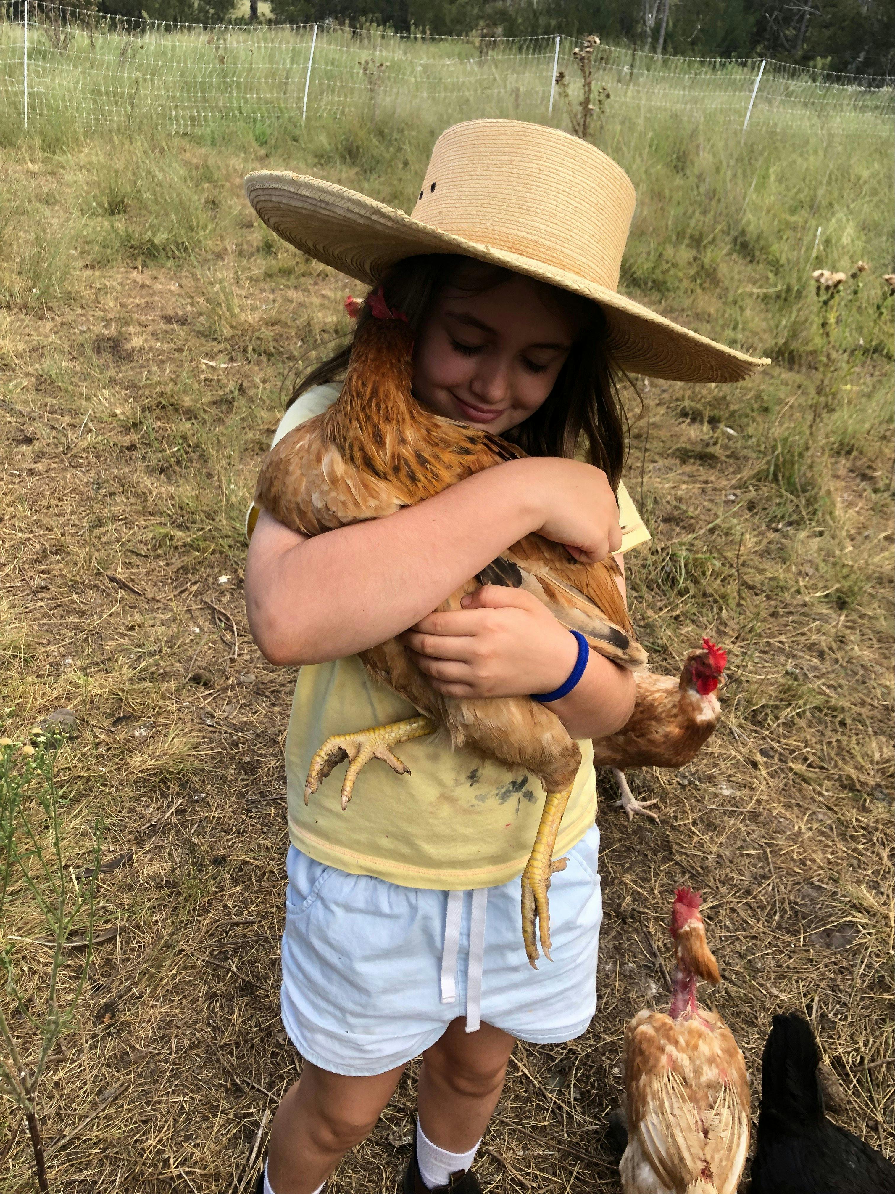 Gleneden Farmyard Friends